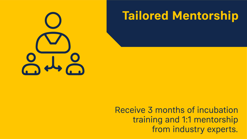 tailored-mentorship
