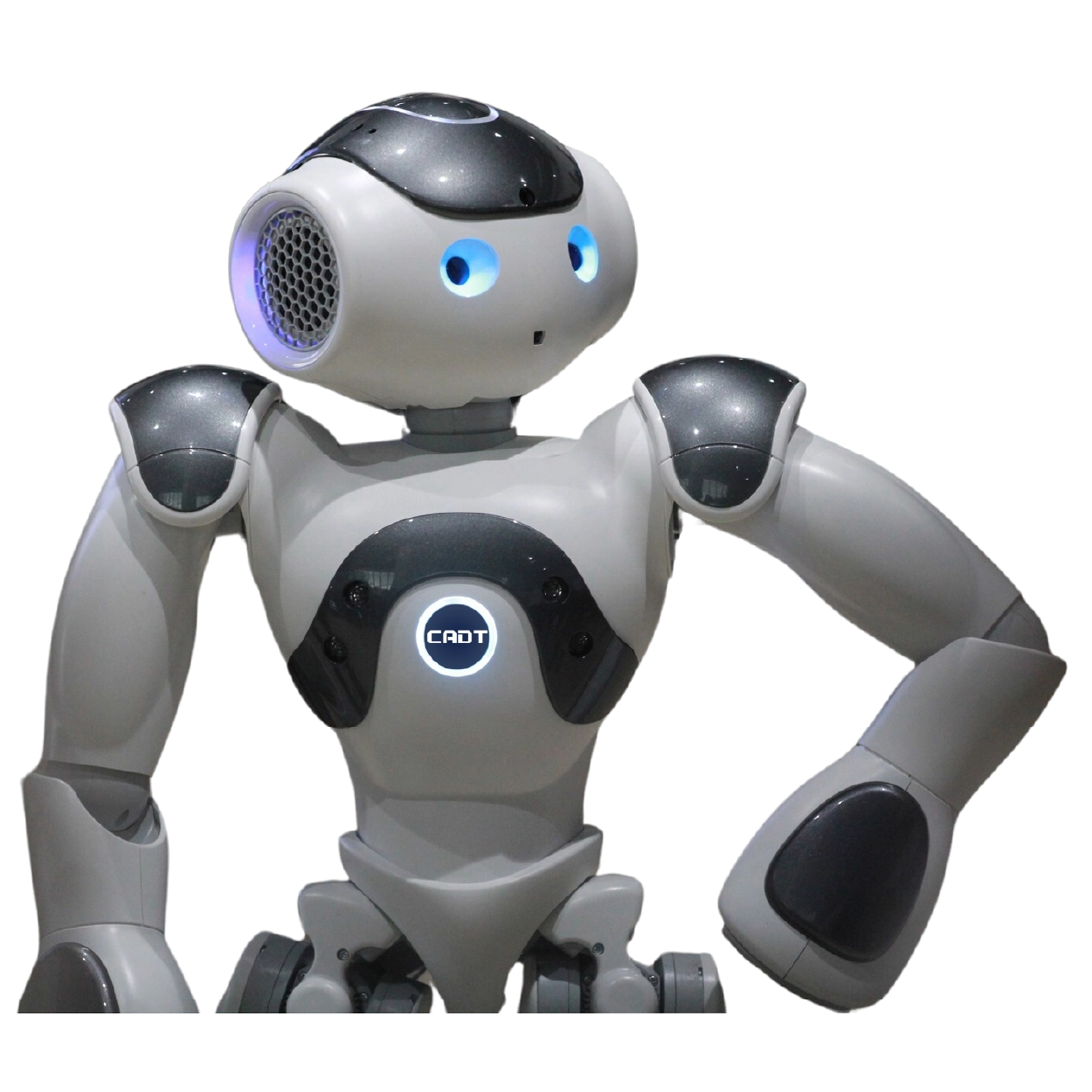 Sok Robot